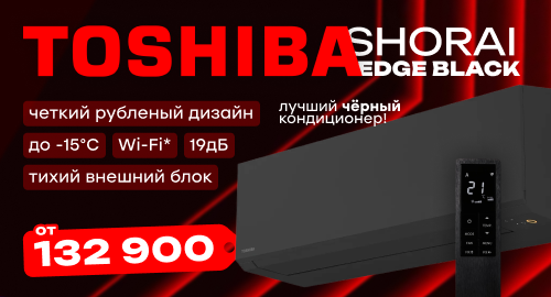 TOSHIBA Shorai BLACK YT